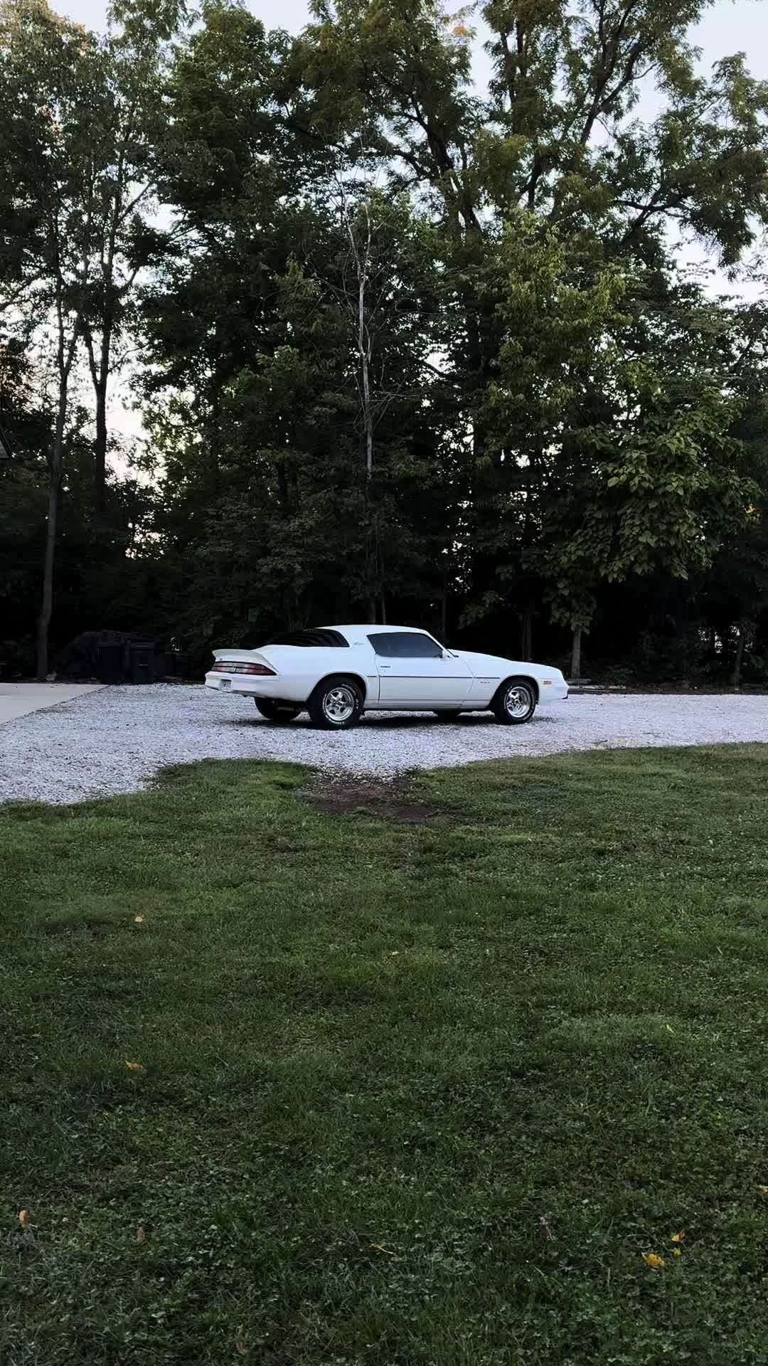 @79_Camaro
