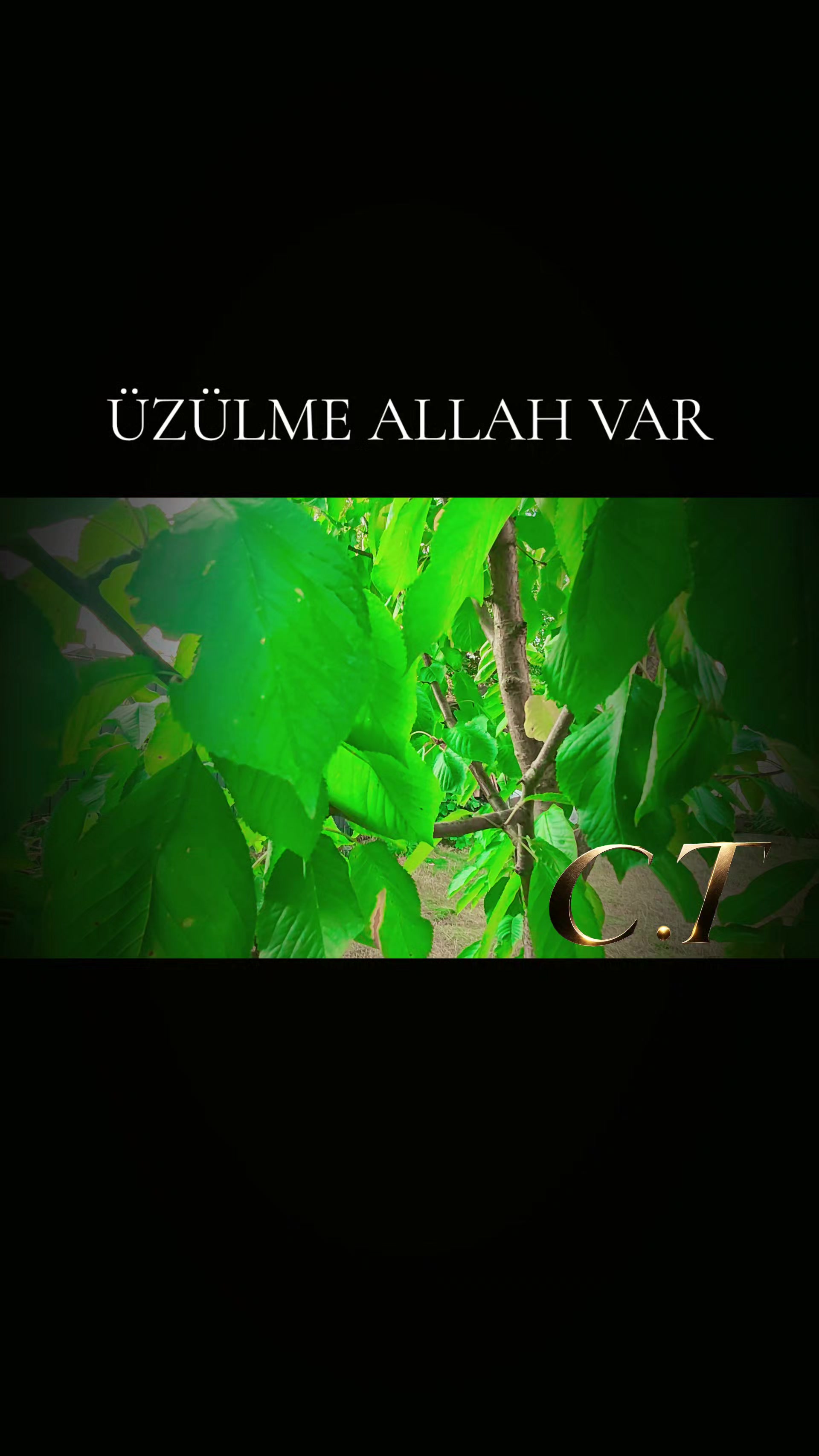@kalptenkalbedua