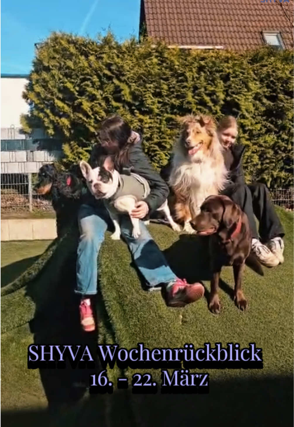 @Shyva Hundezentrum