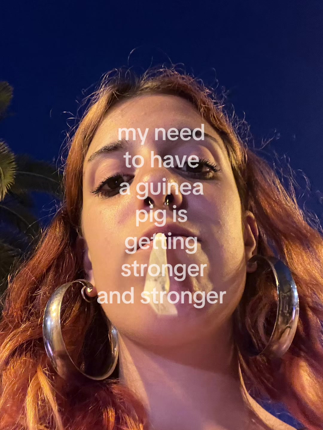 @maddina🪼🇵🇸