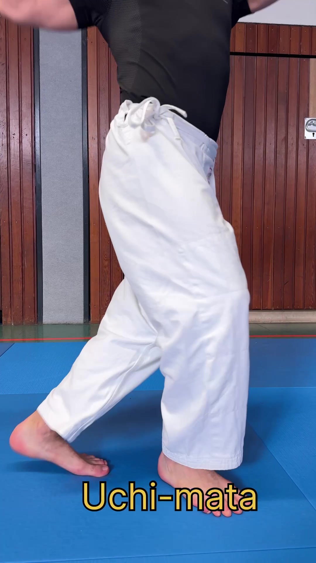 @Cyber-Judoka
