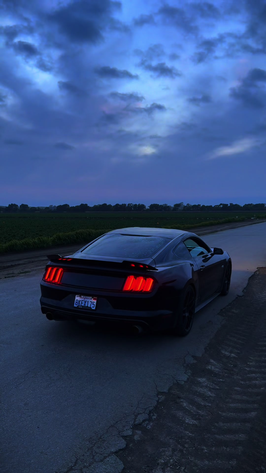@5.0_alex_0