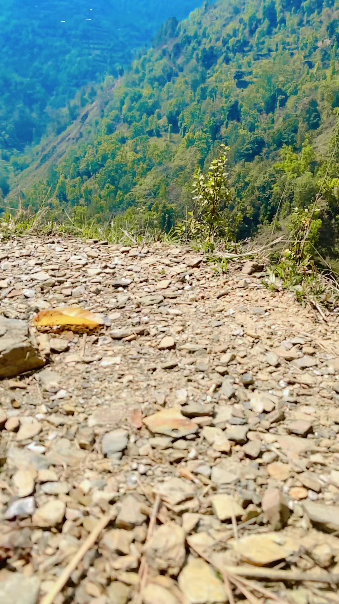 @d.s.thakuri