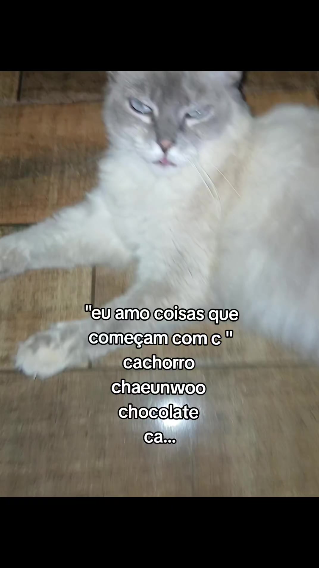 @⋆. 𐙚 ˚lara⋆˚𝜗𝜚˚⋆