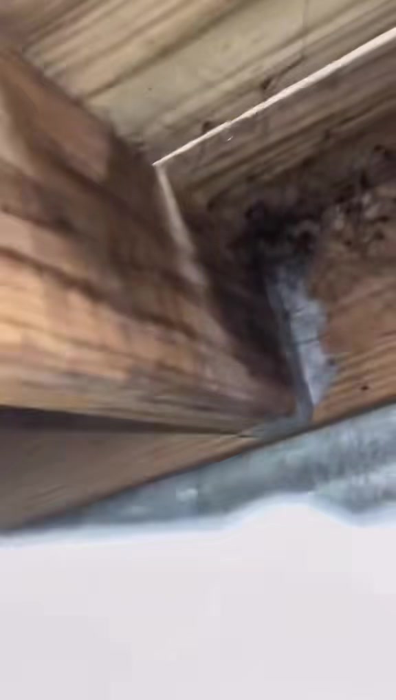 @SCARYVIDEOS