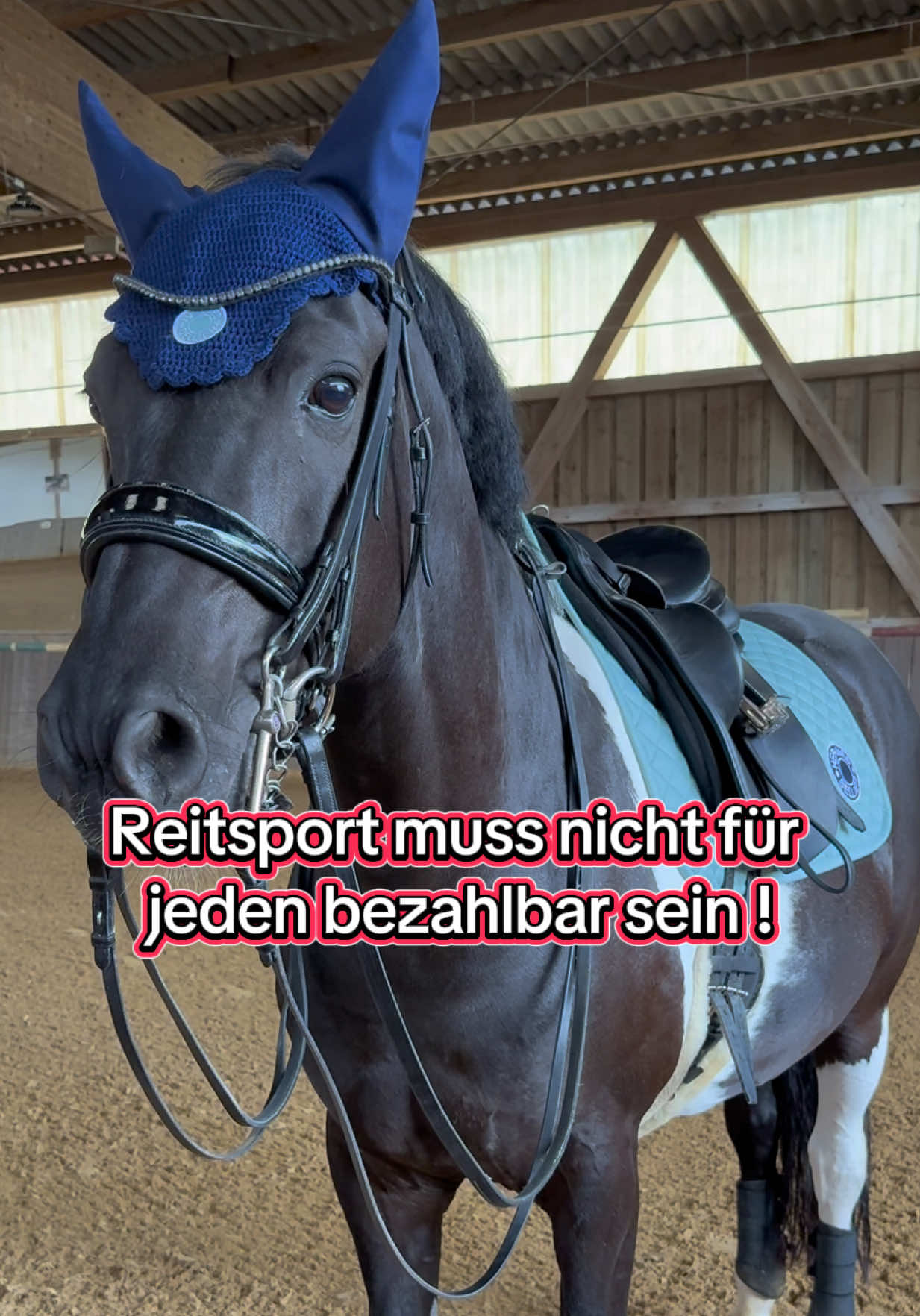 @Sophia &bull; SL Reitschule