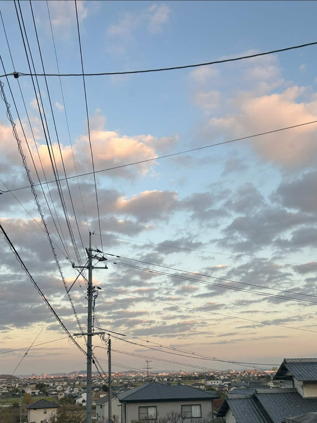 @ひなこ
