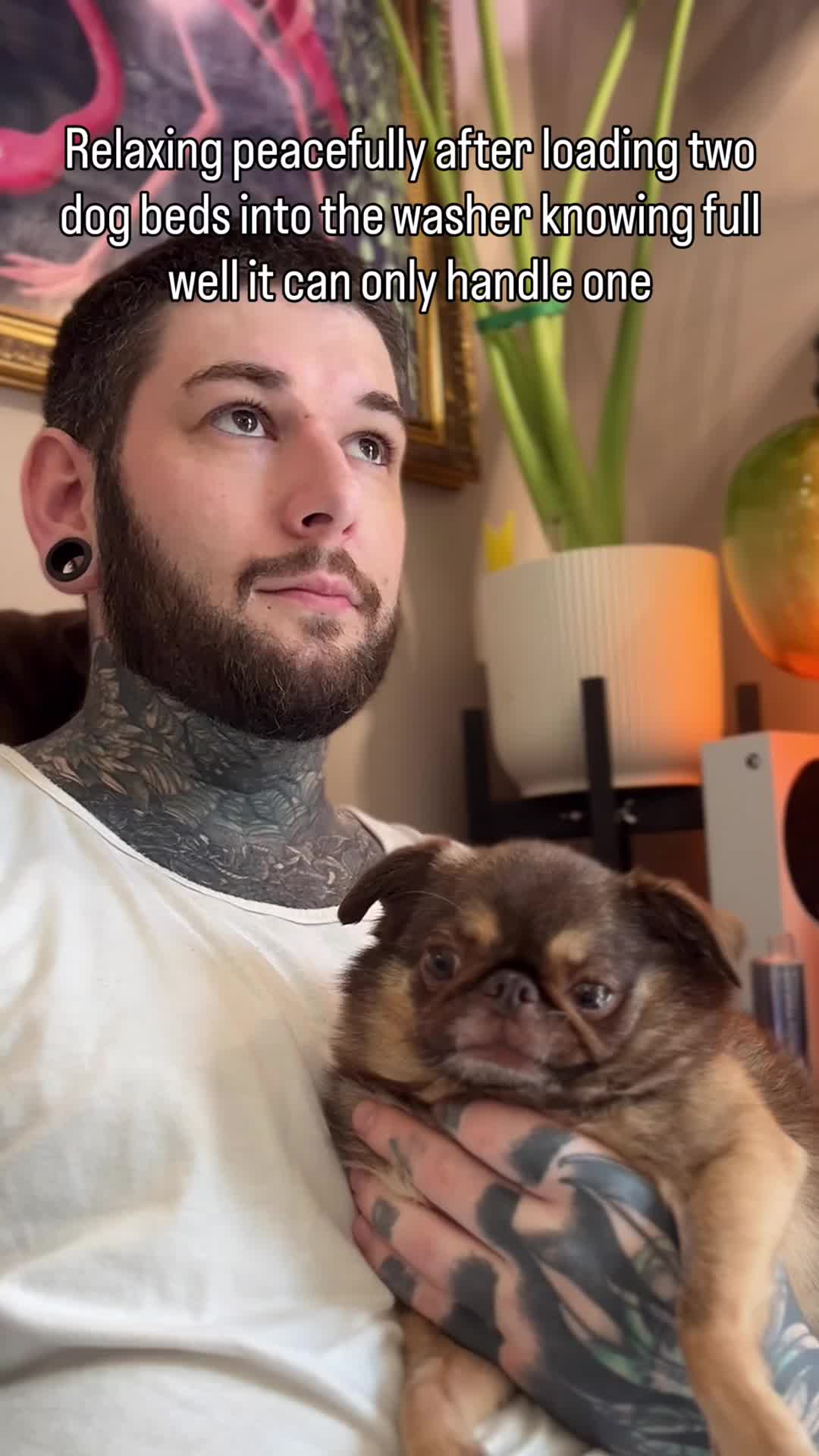 @ChilliThePug
