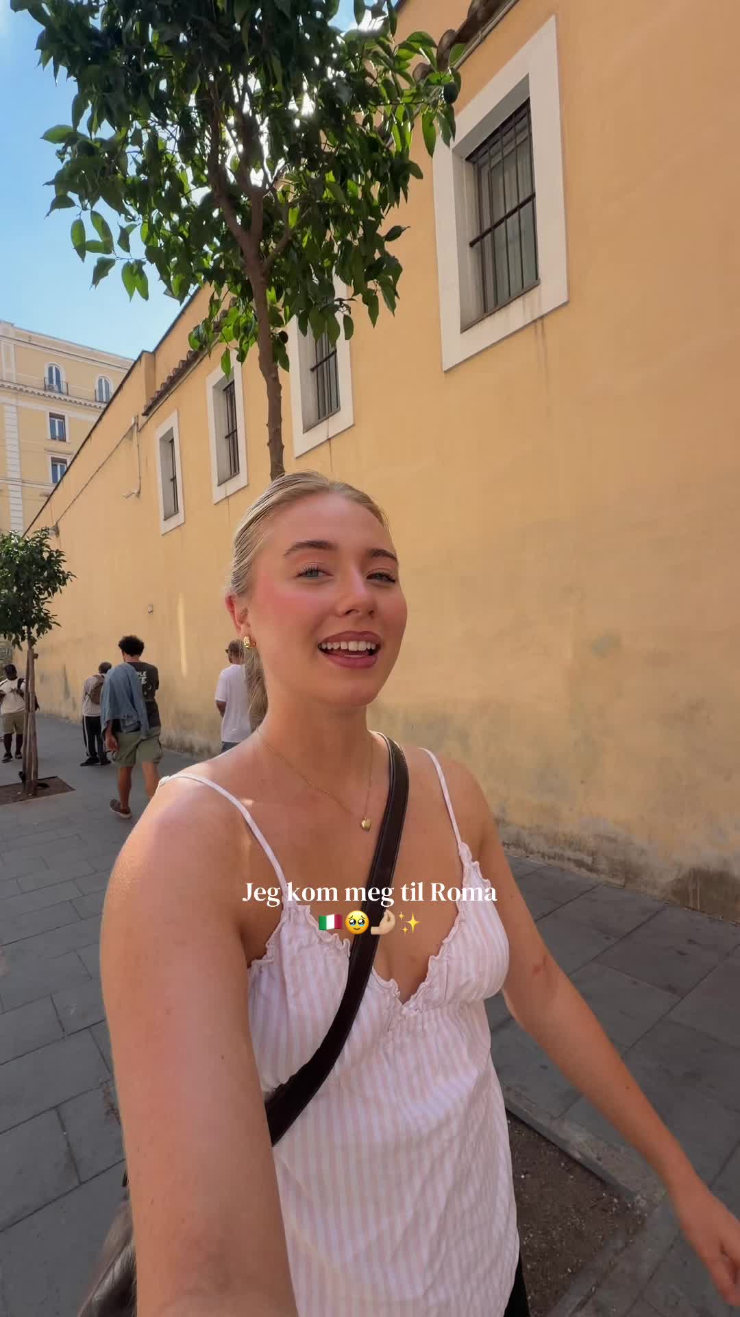 @wiki🌷