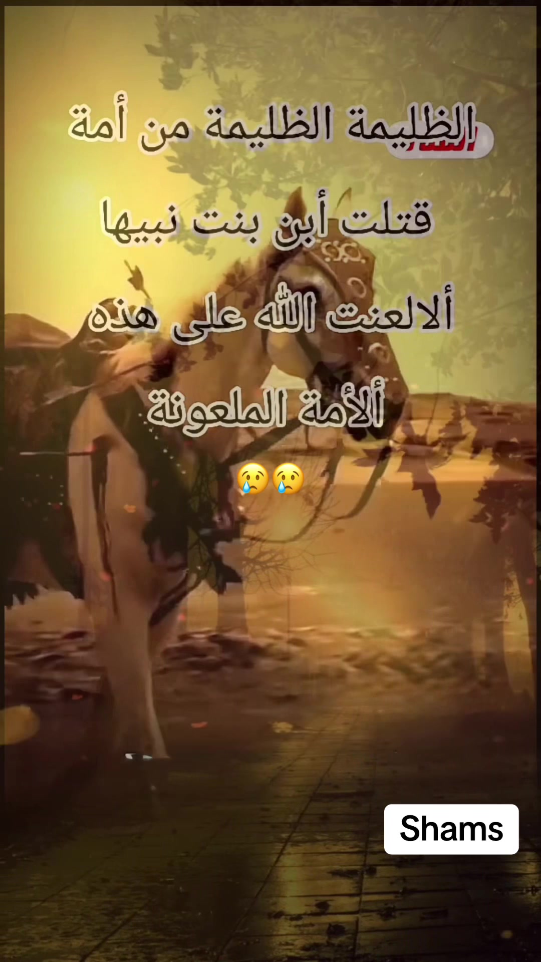 @Shams
