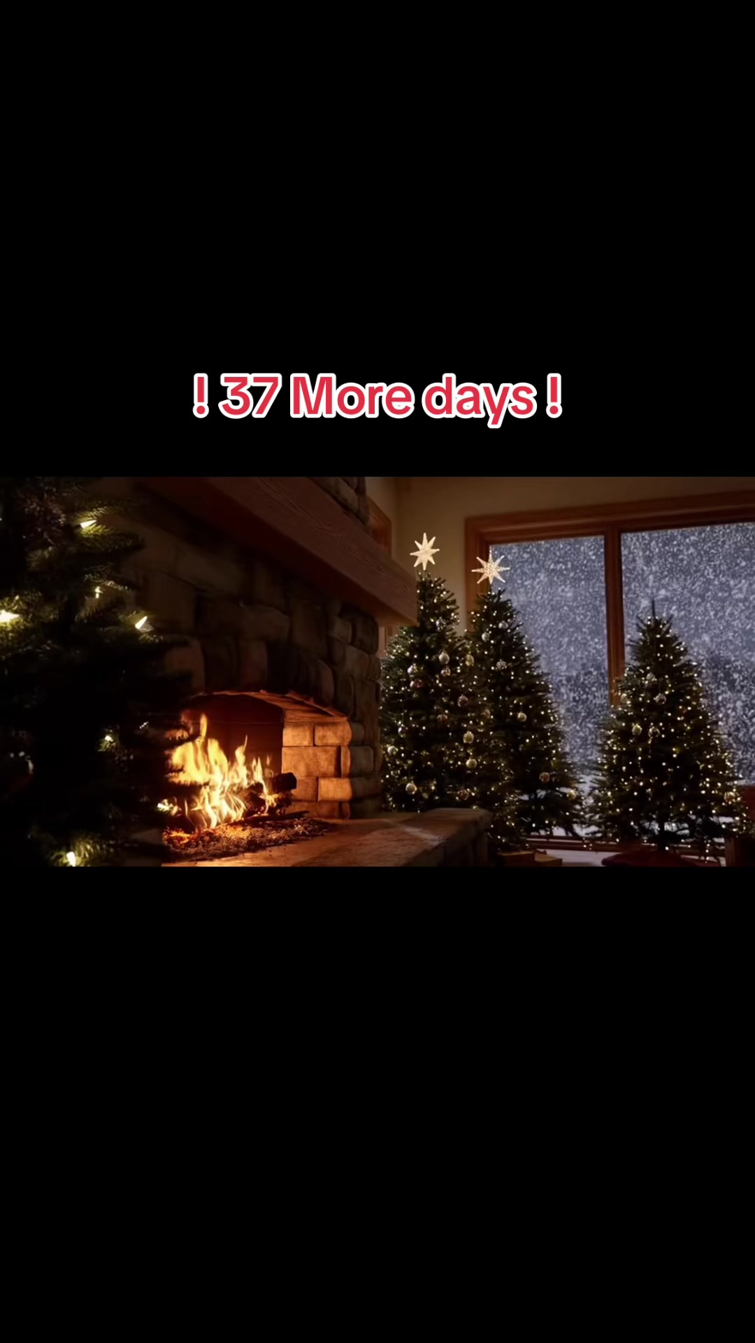 @christmas.tree65