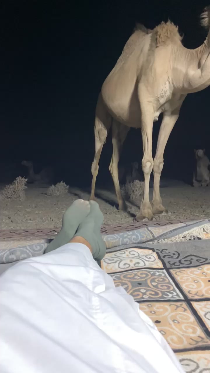 @سليمان البلوي