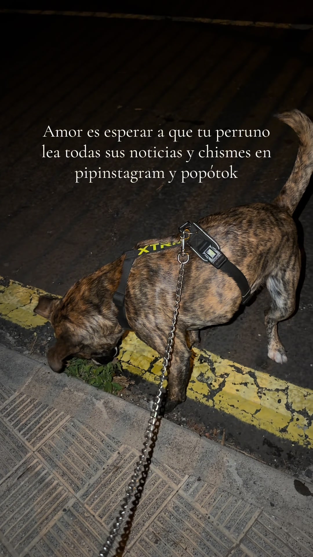 @Jormary Manrique