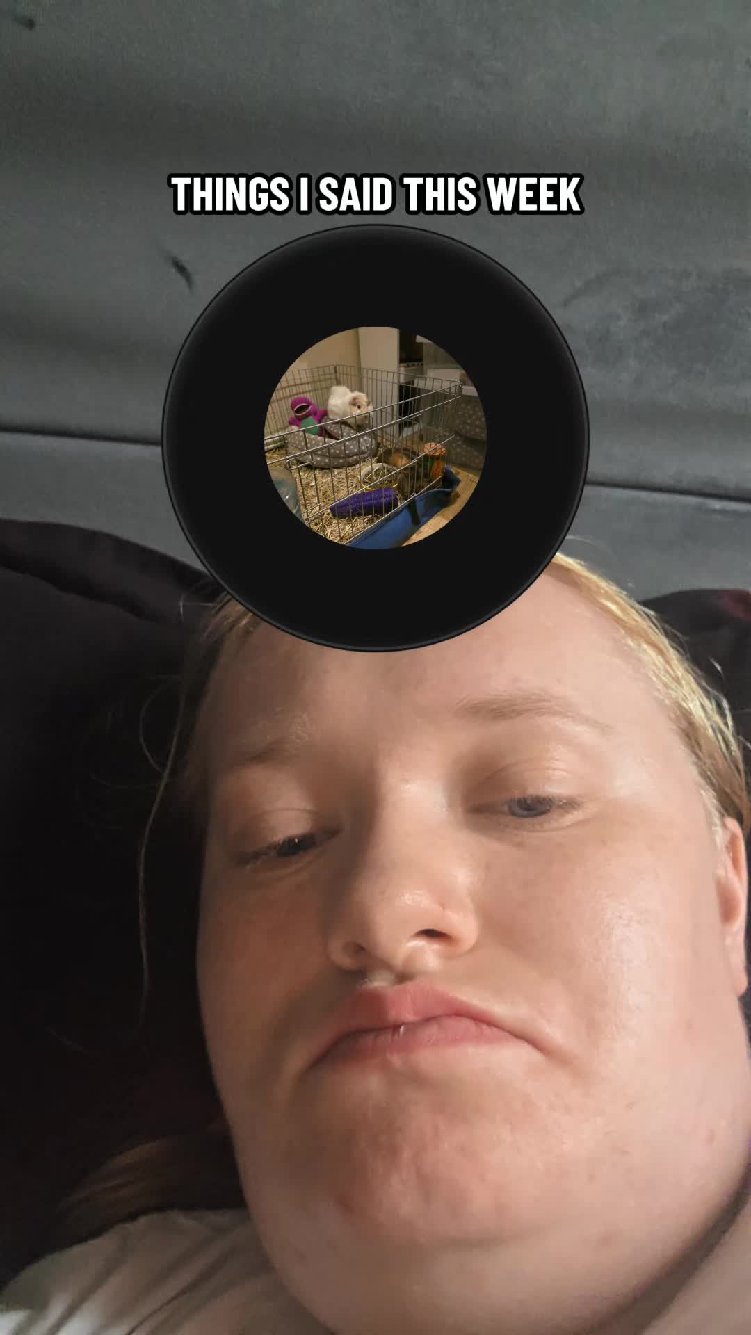 @shannon2001