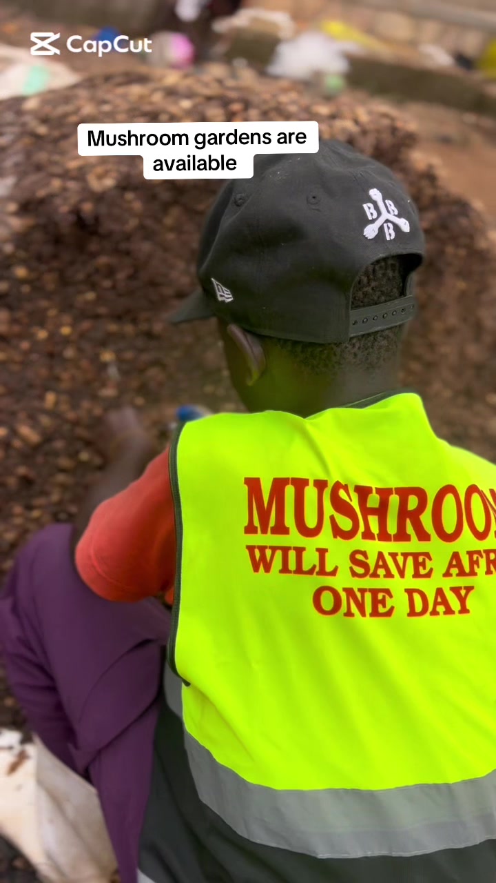 @BLESSED AGRICULTURAL MUSHROOM