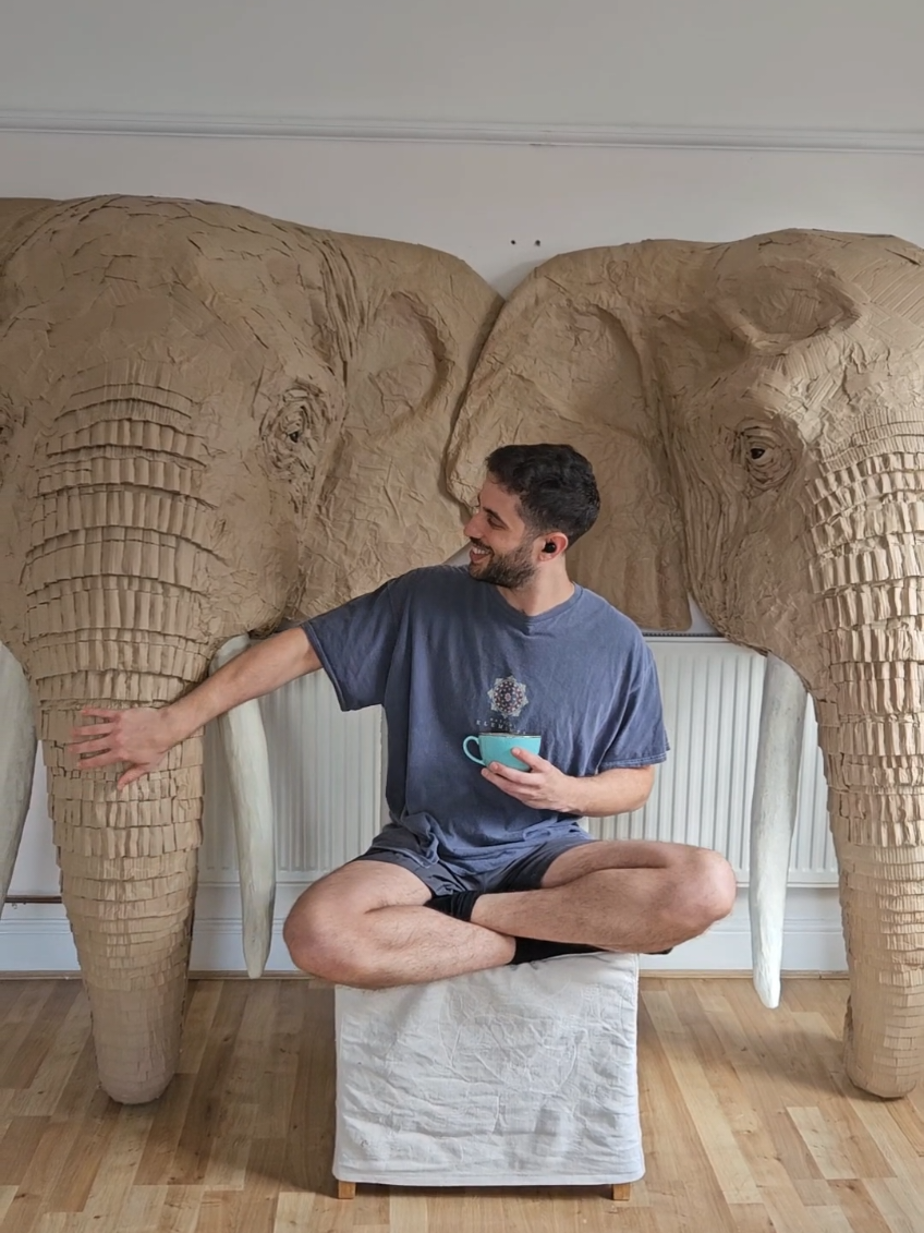 @Josh Gluckstein- Cardboard Art