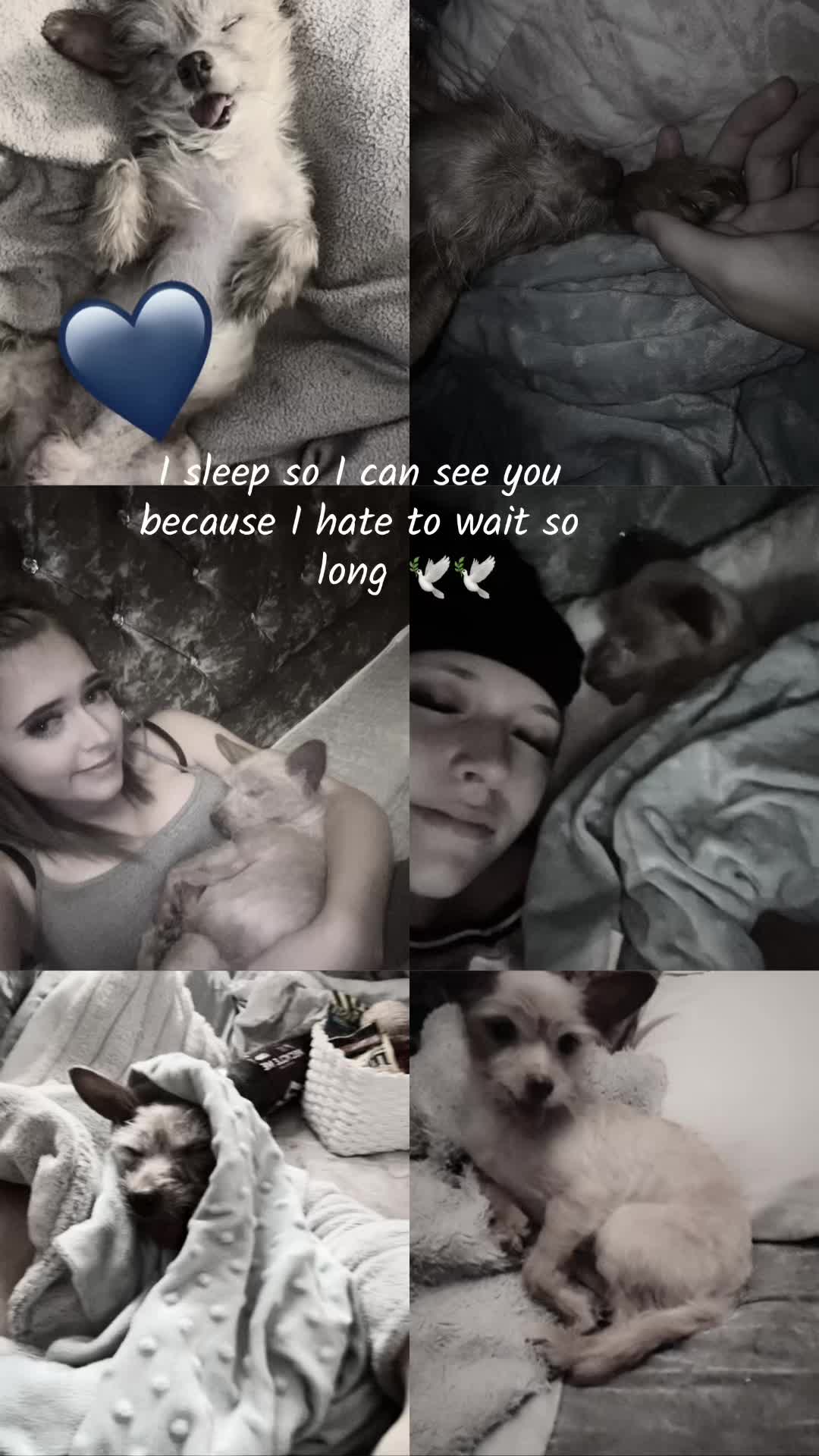 @Lacey