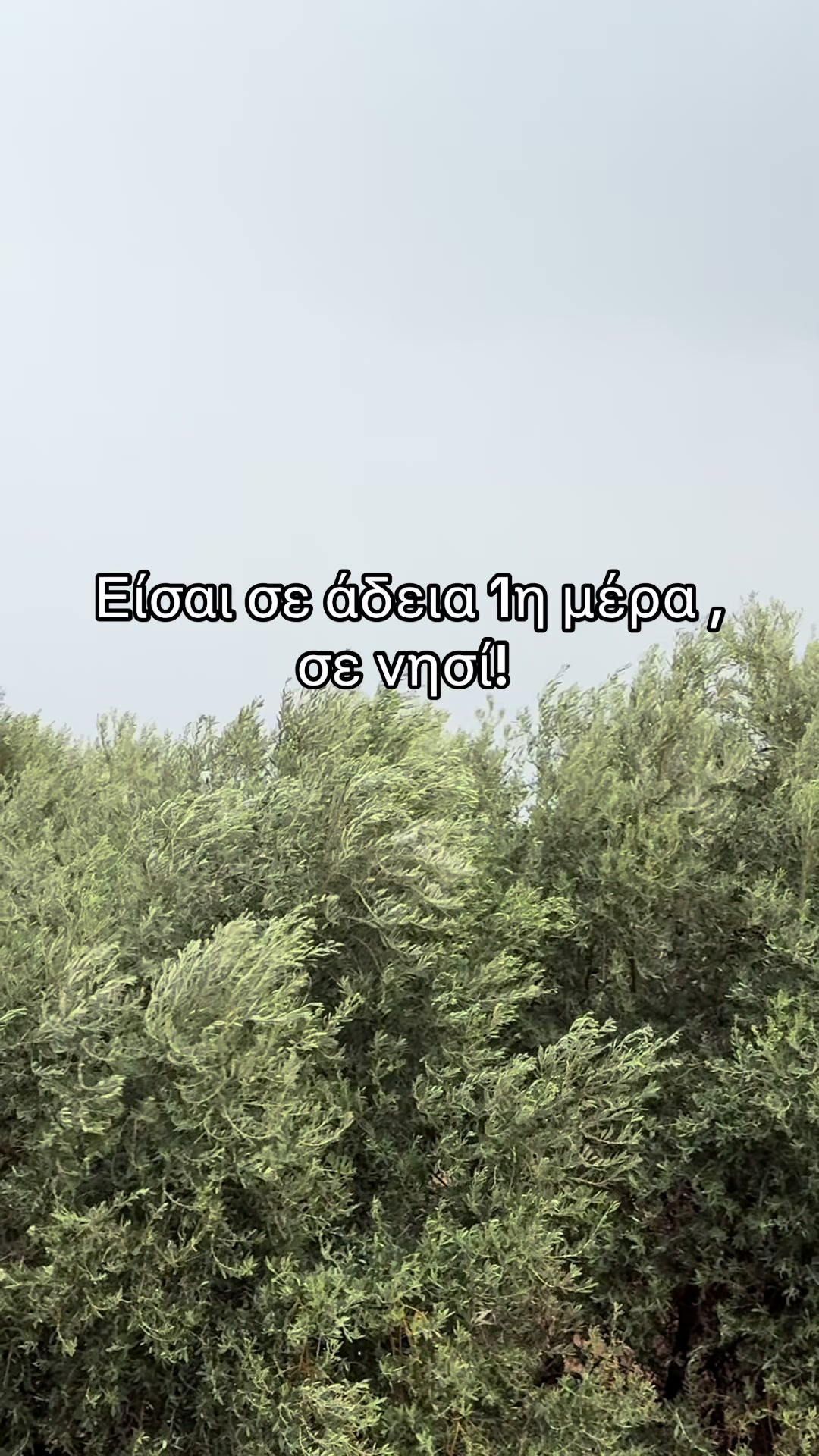@Milen Off Icial