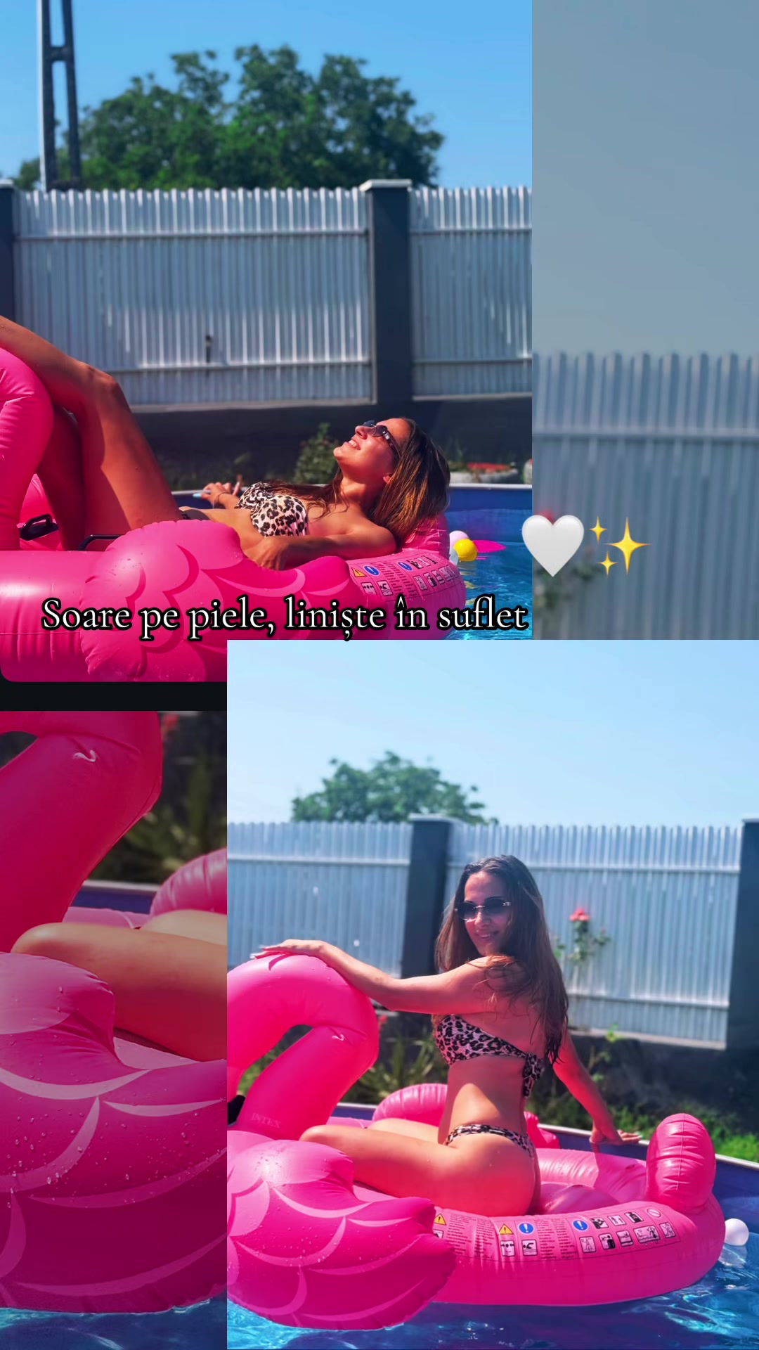 @Andreea❤️