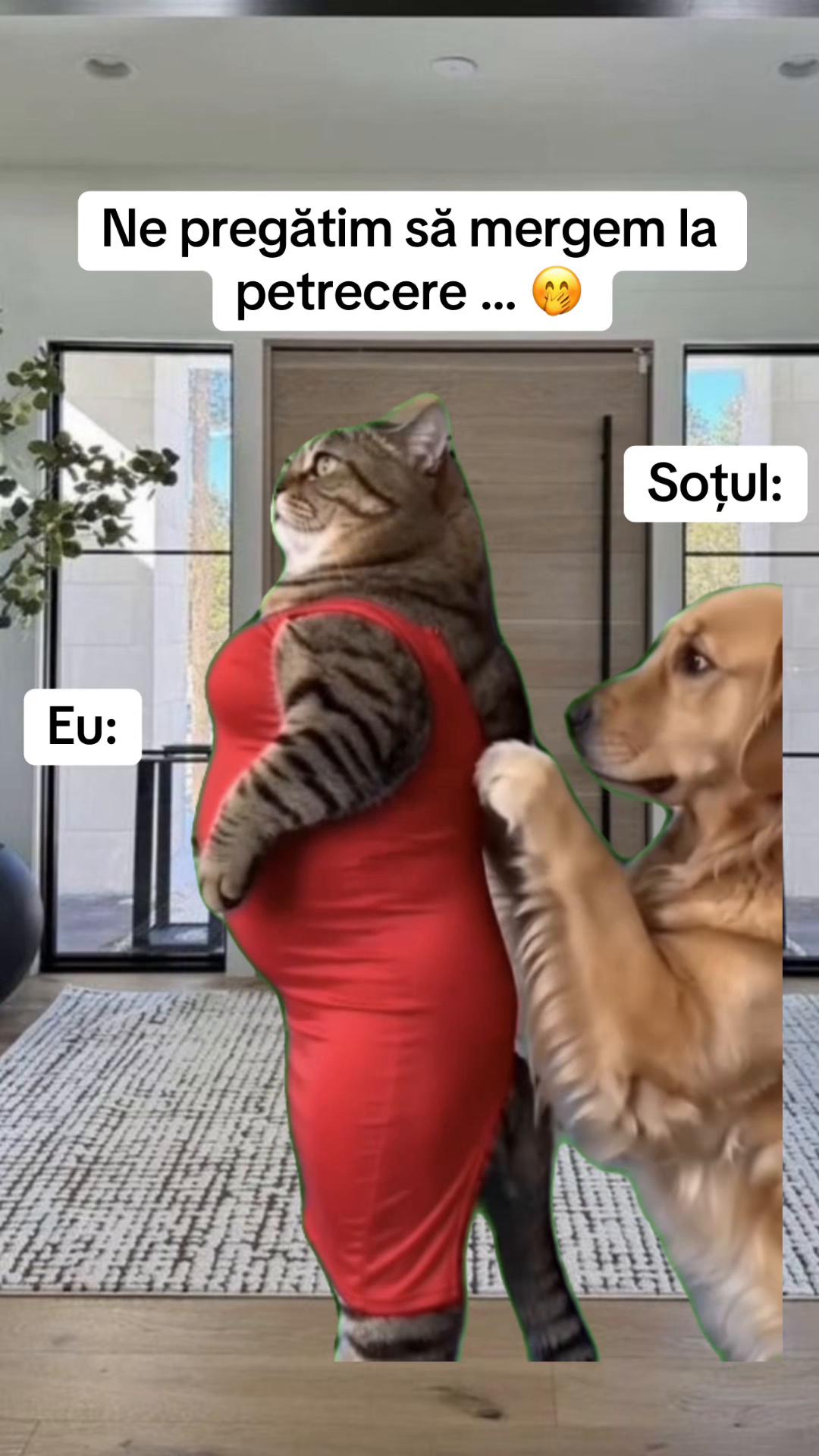 @Ionut17