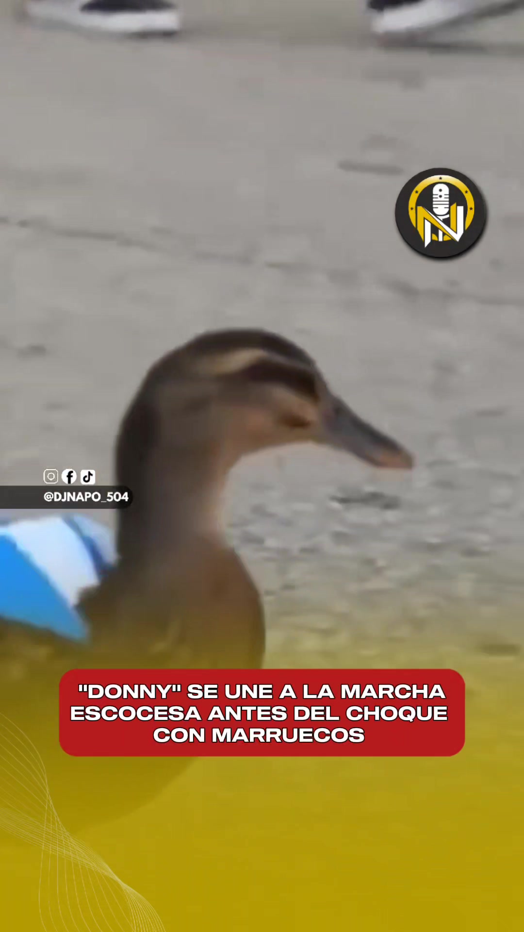 @NapoNoticias