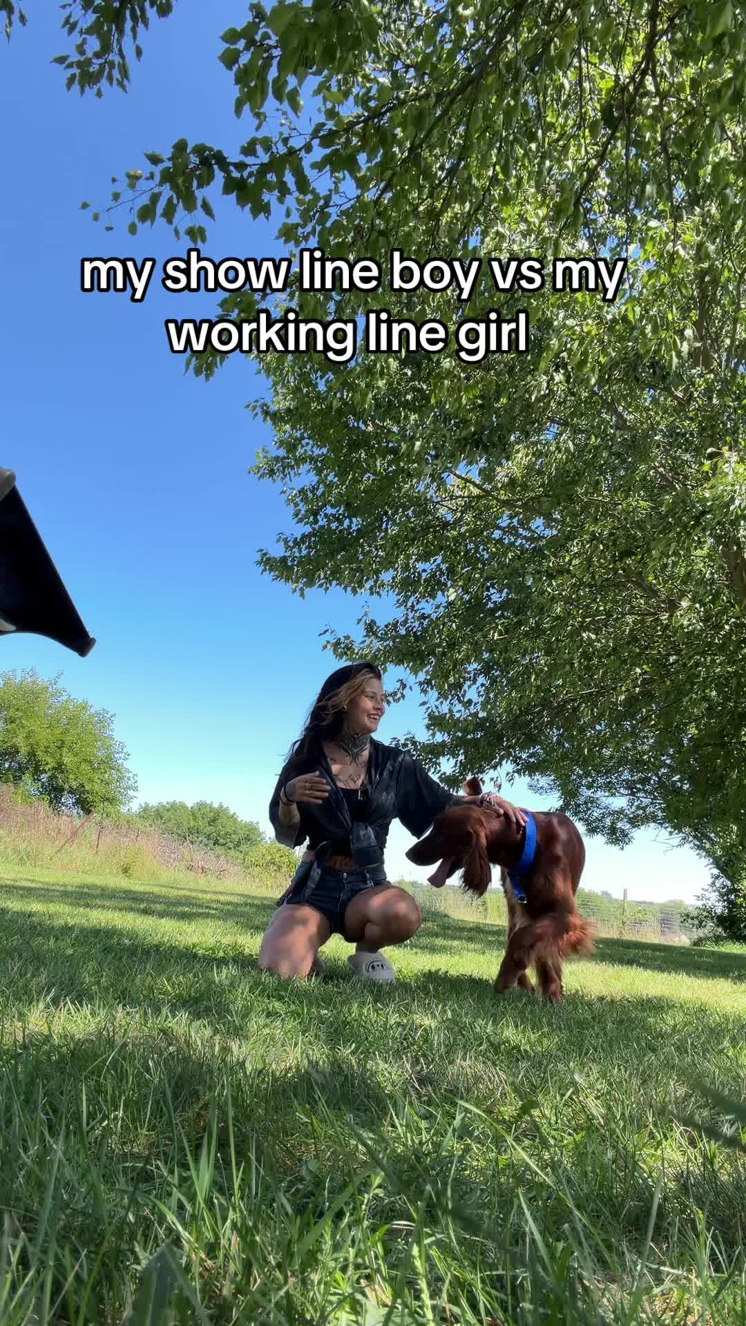 @hawkhatesyou