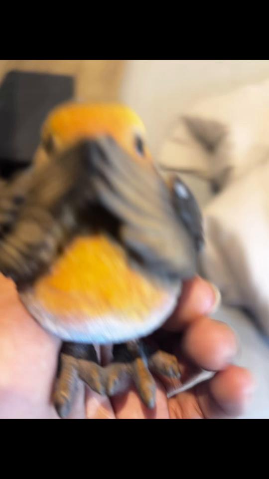 @kayoss🤌🏽