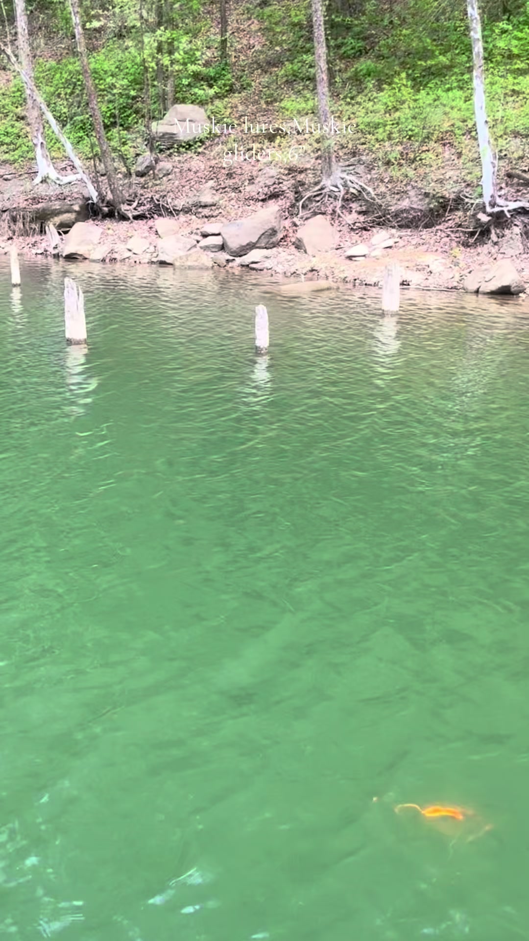 @JW Lures