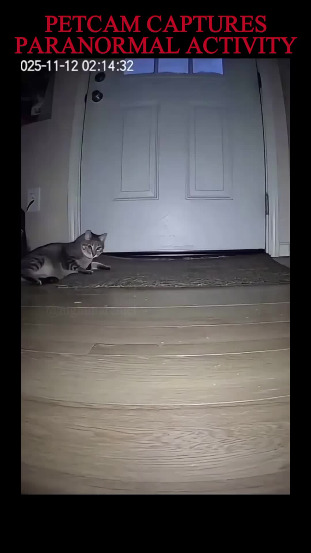 @NIGHTMARE FUEL