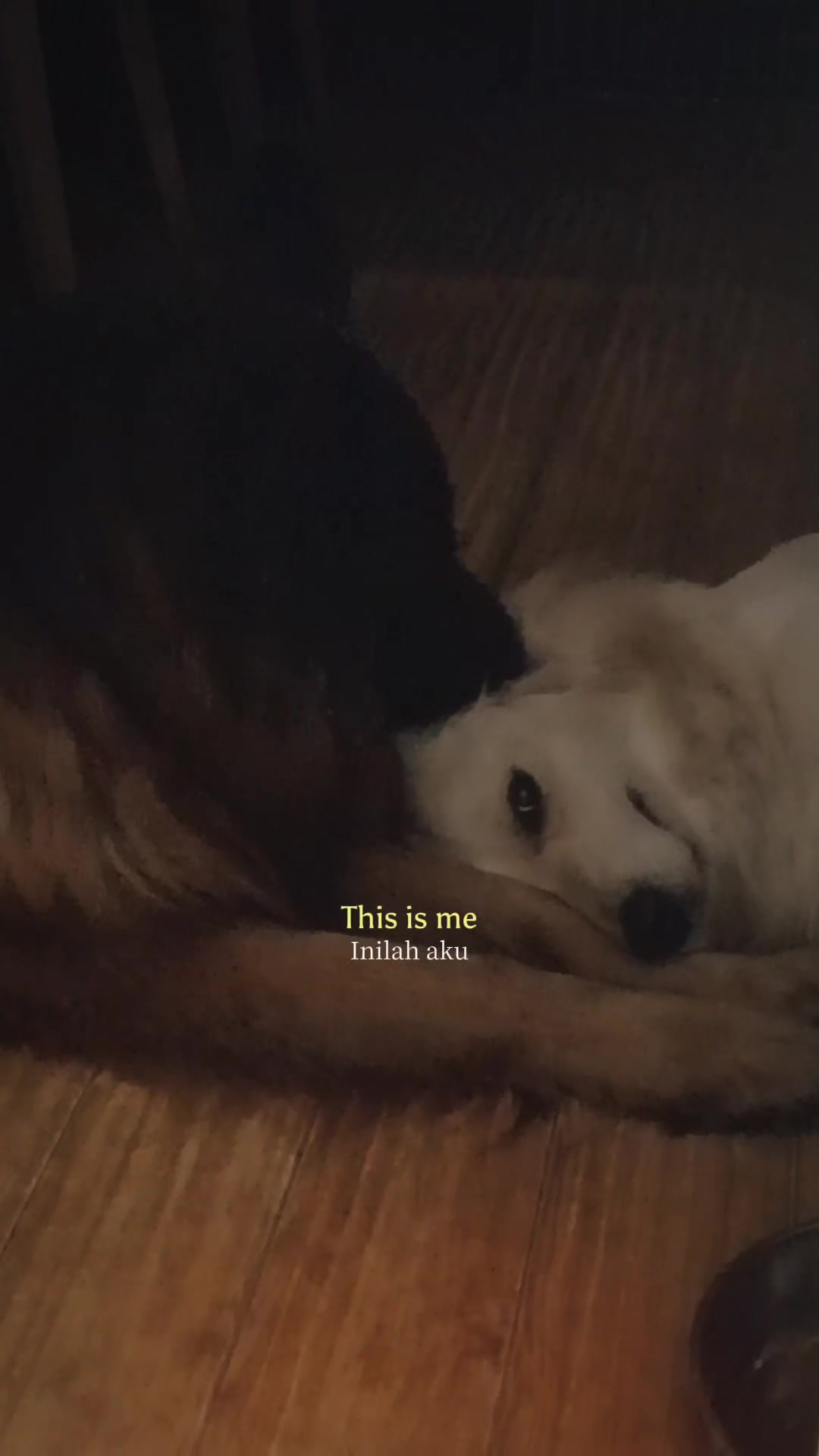 @Jett & Cruz