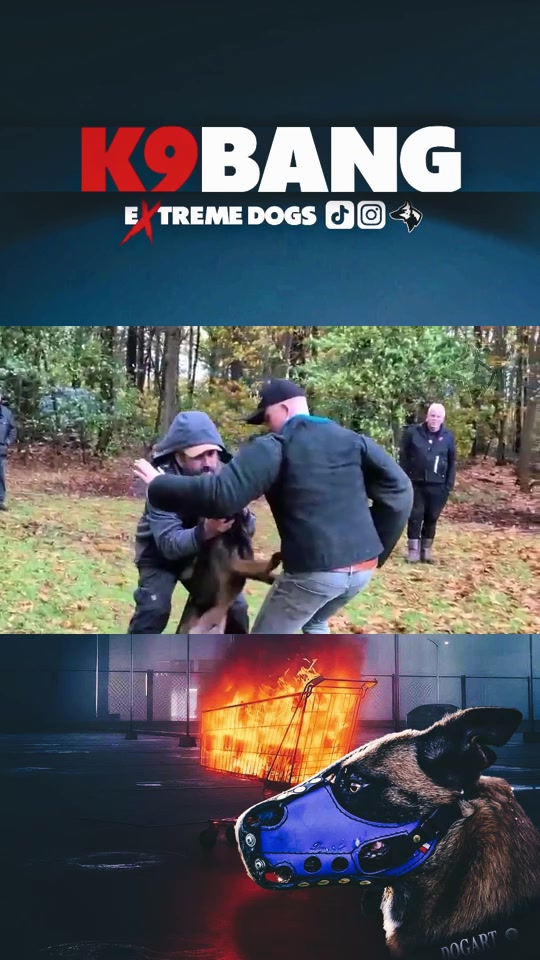 @K9 BANG