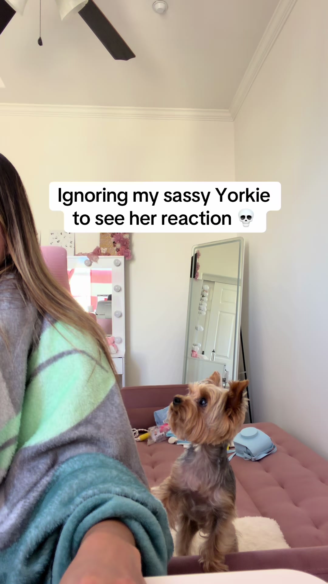 @Milo & Mia 🐾