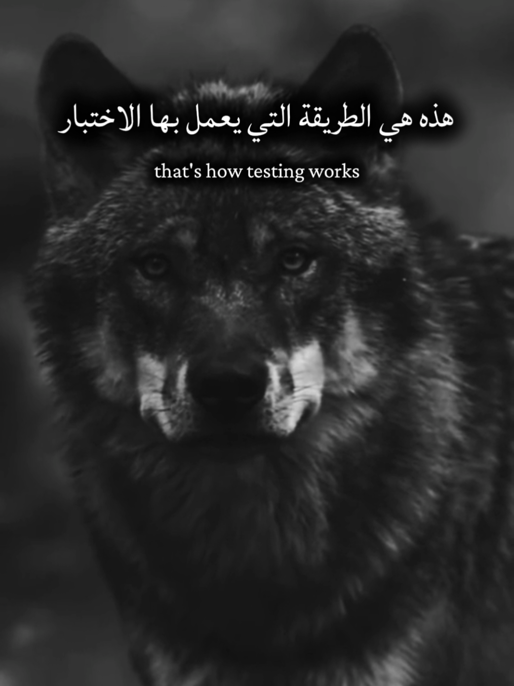 @mindset🇸🇩🇸🇦