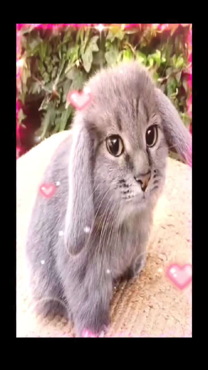 @yumi_3435