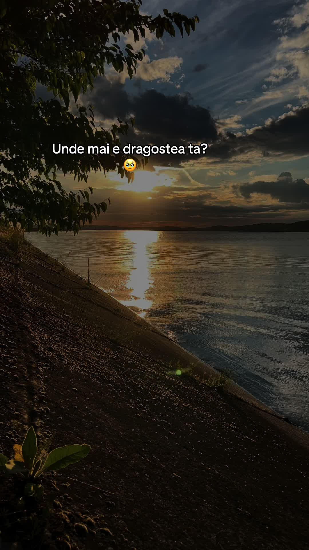 @Boto Davide
