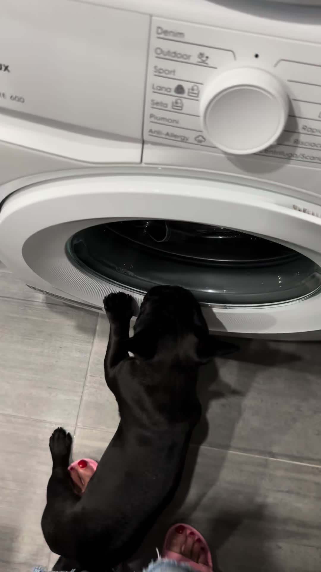 @Bullo_mal&ugrave;