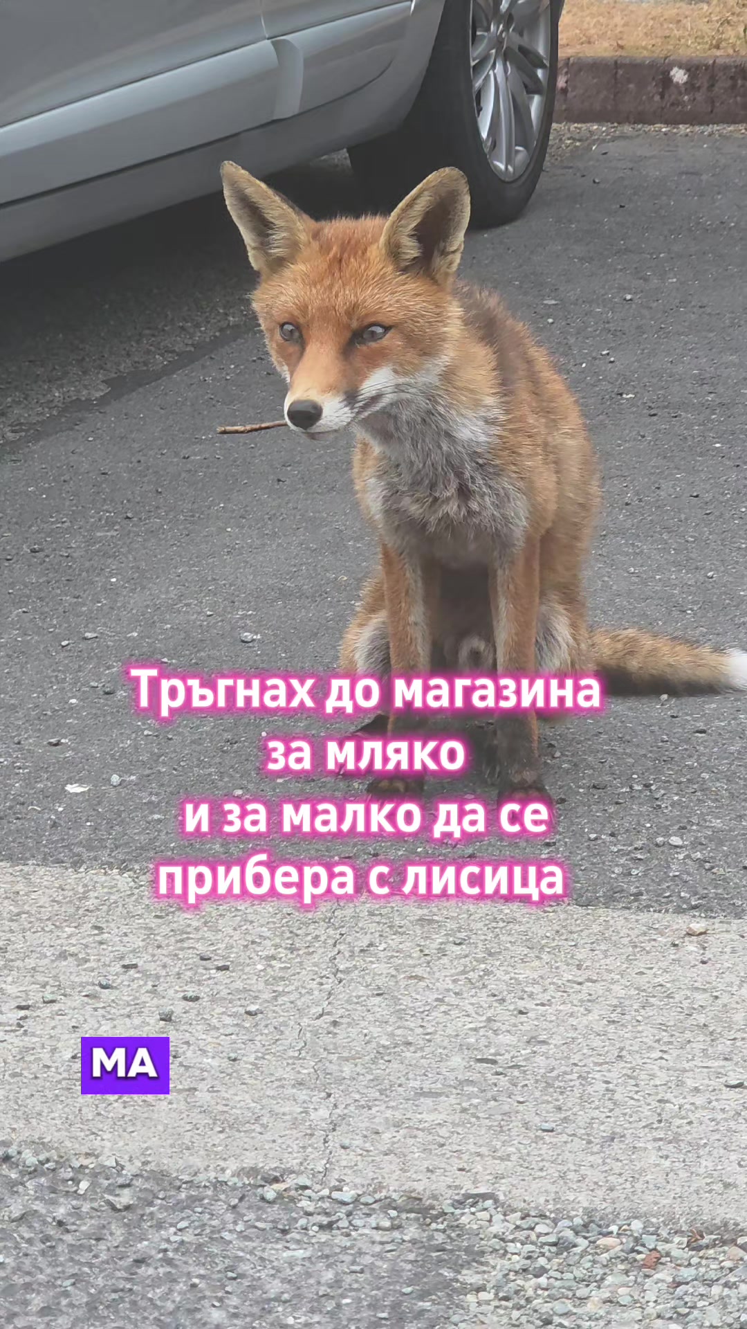 @Zori