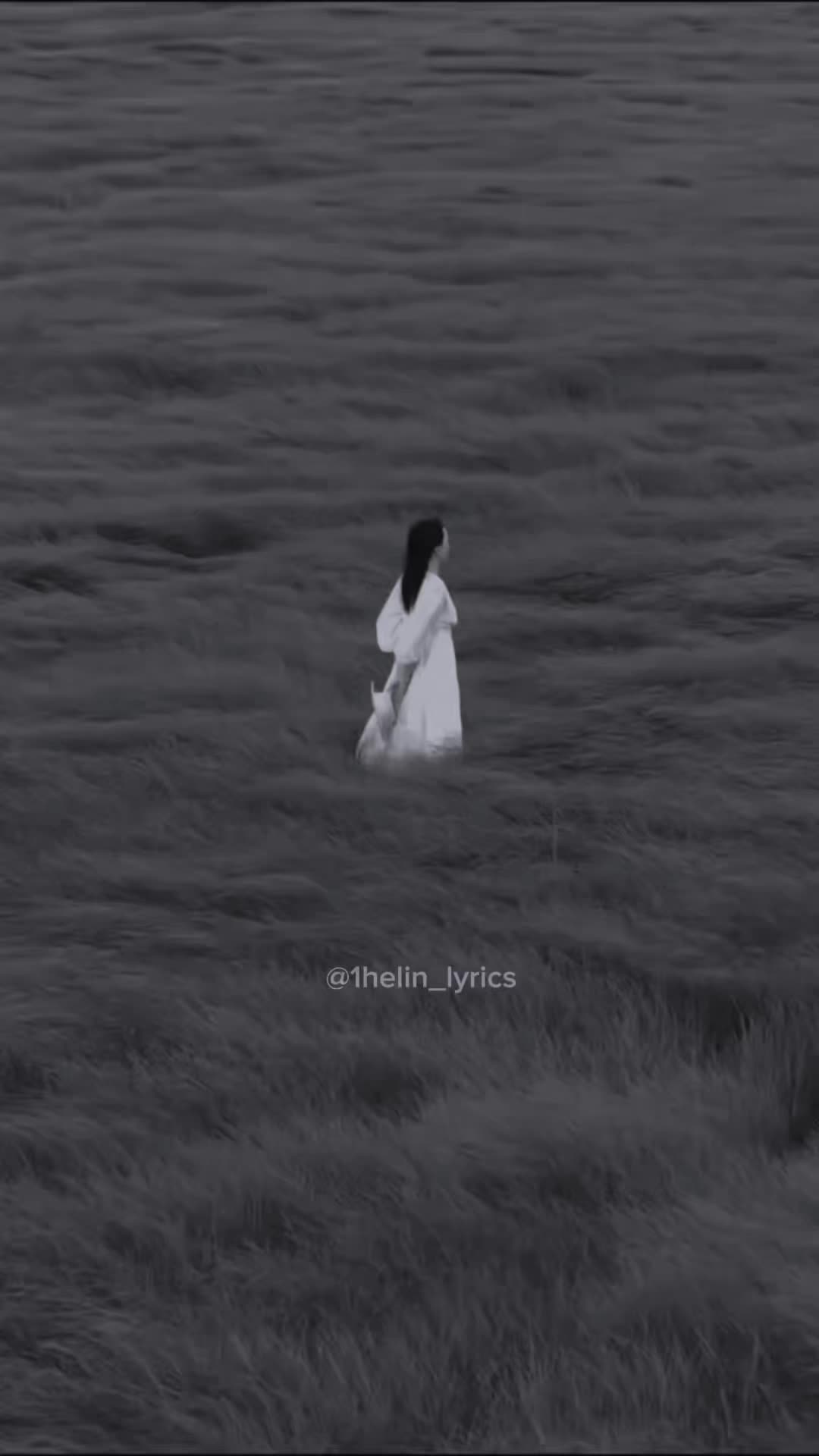 @1helinlyrics