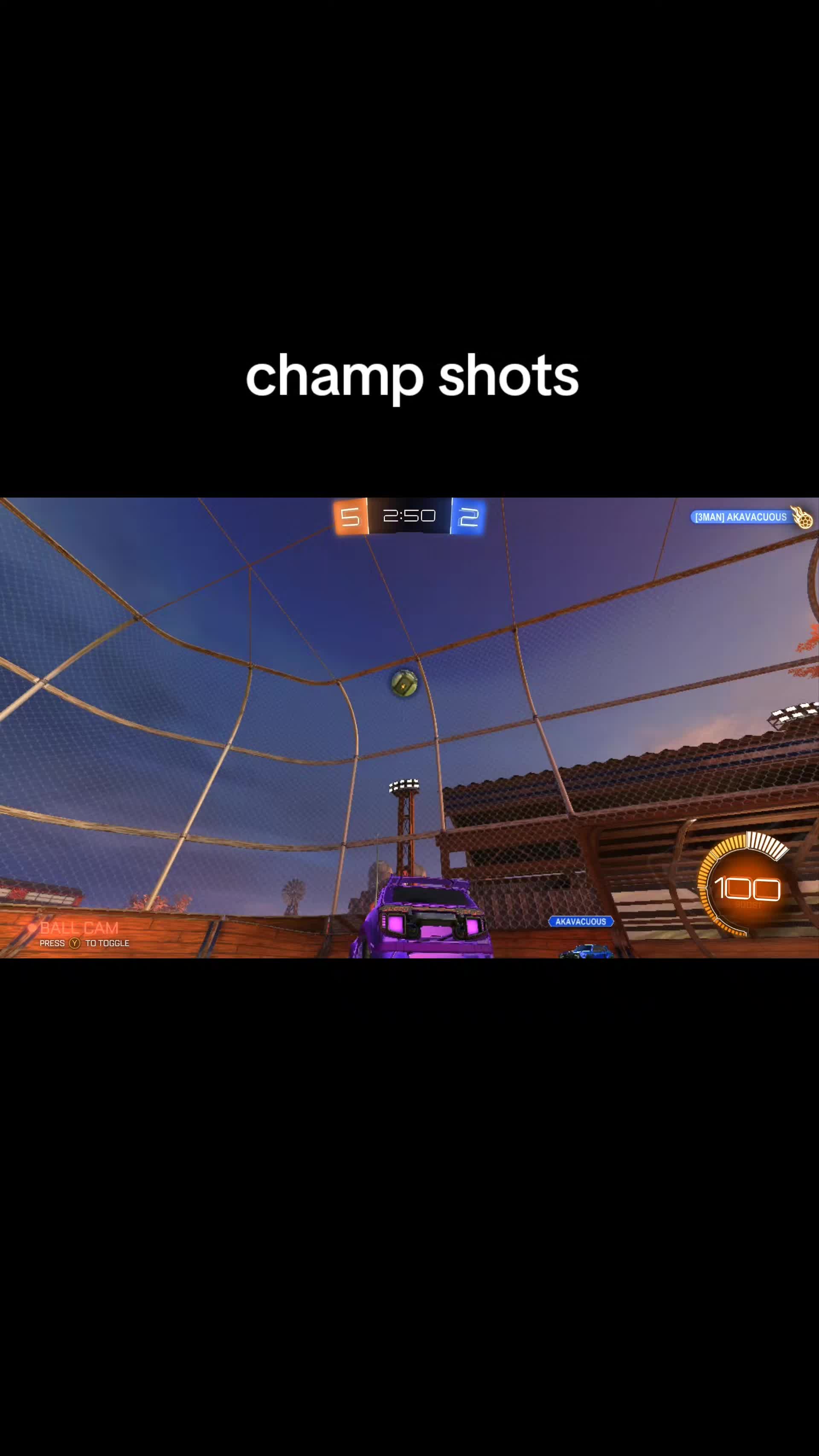 @That1BearGuy - RL