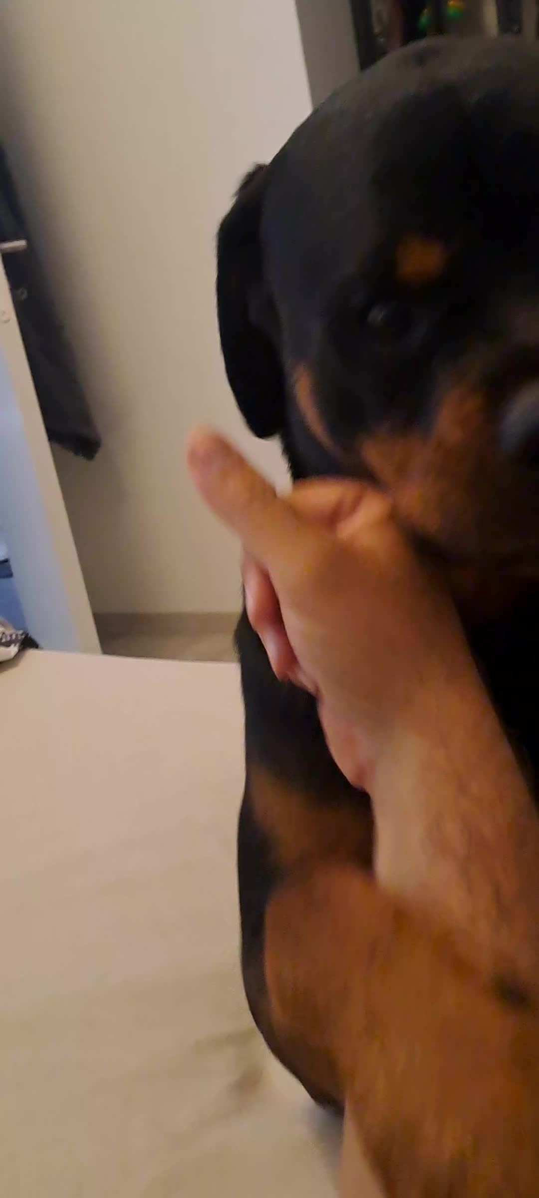 @NALA