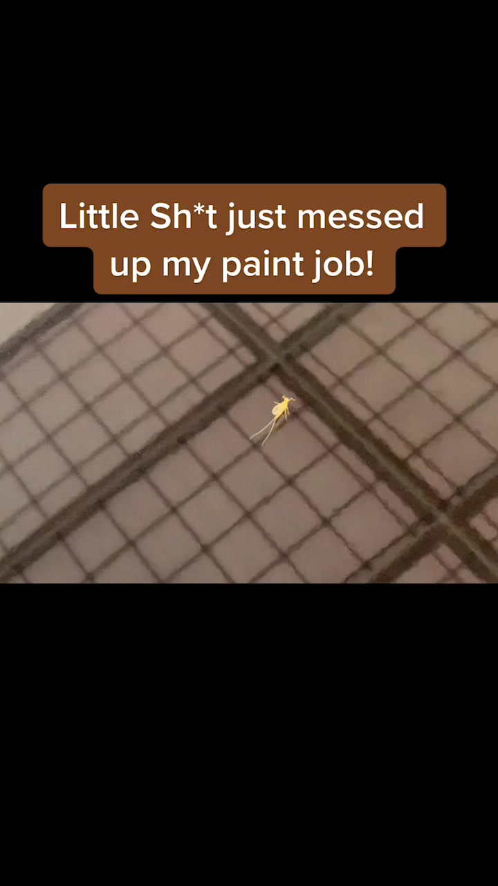 @Spray Works