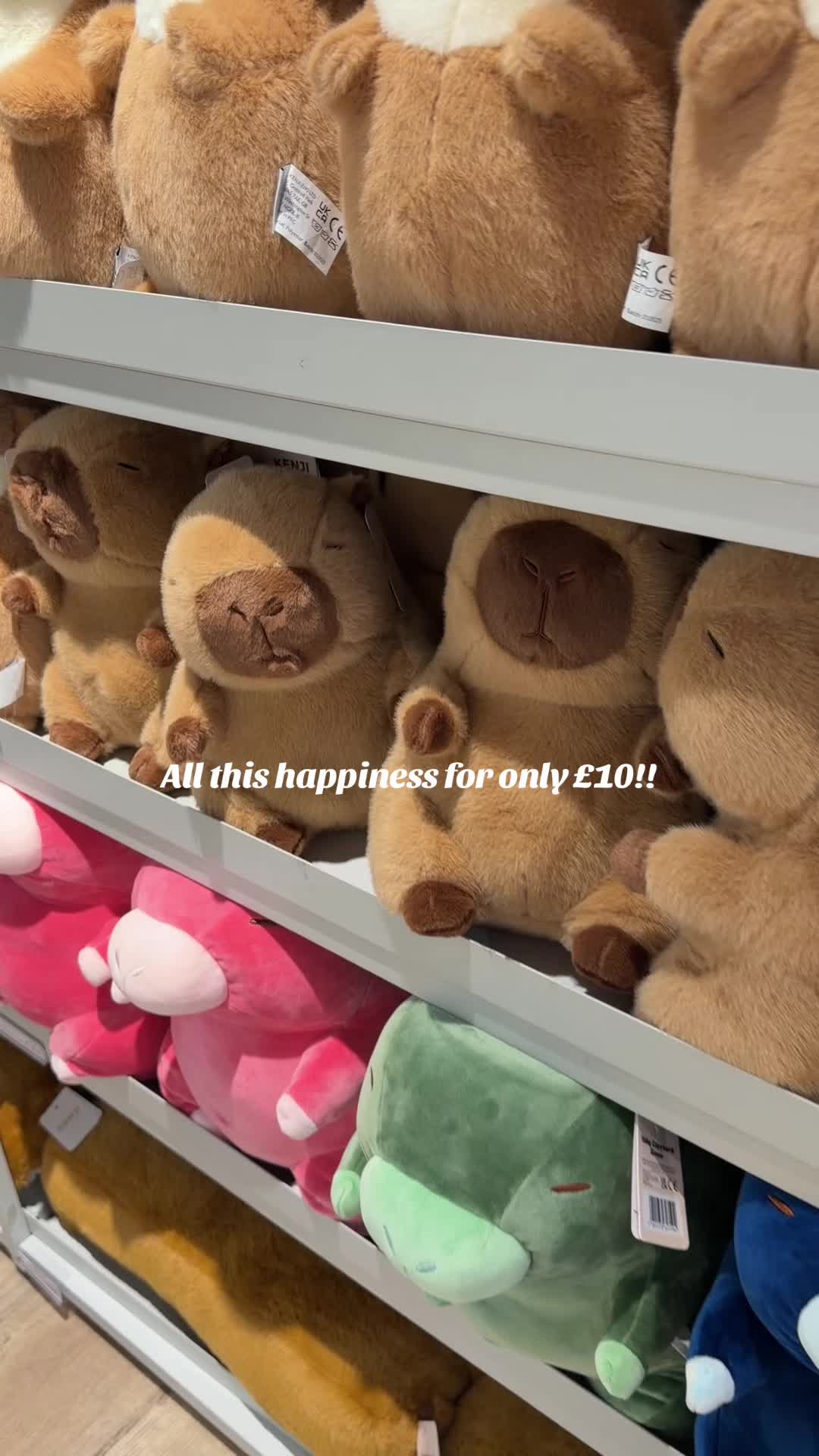 @KENJI