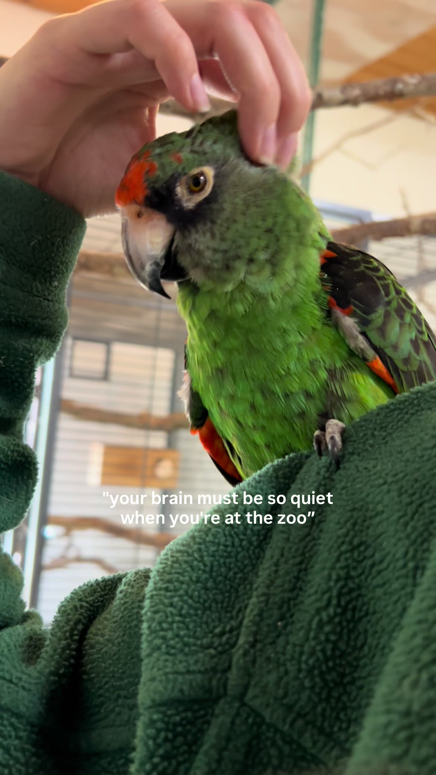 @reptilbewusst