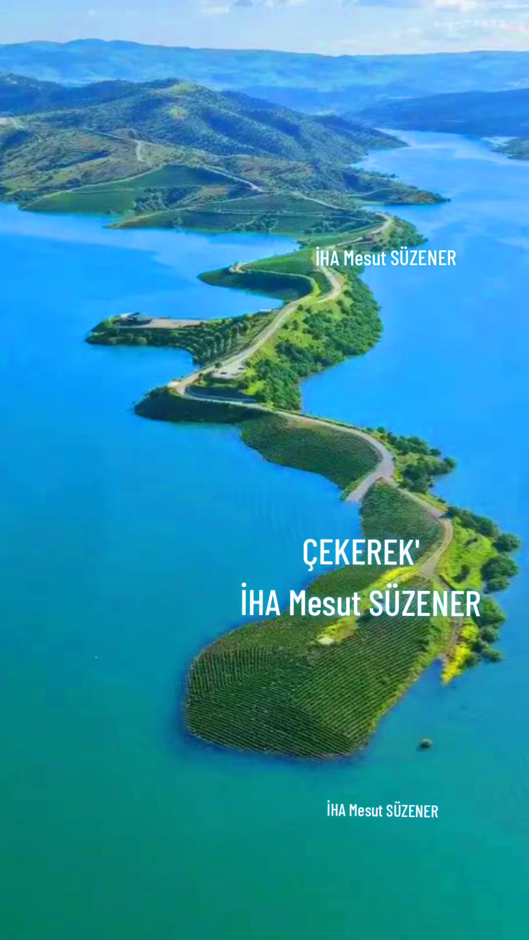 @mesut s&uuml;zener