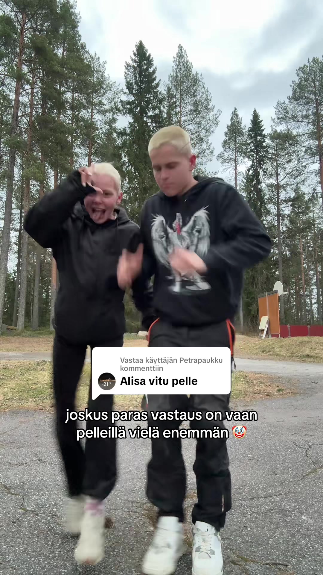 @Alisa Leskinen