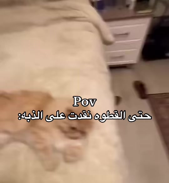 @ريتشز ✪