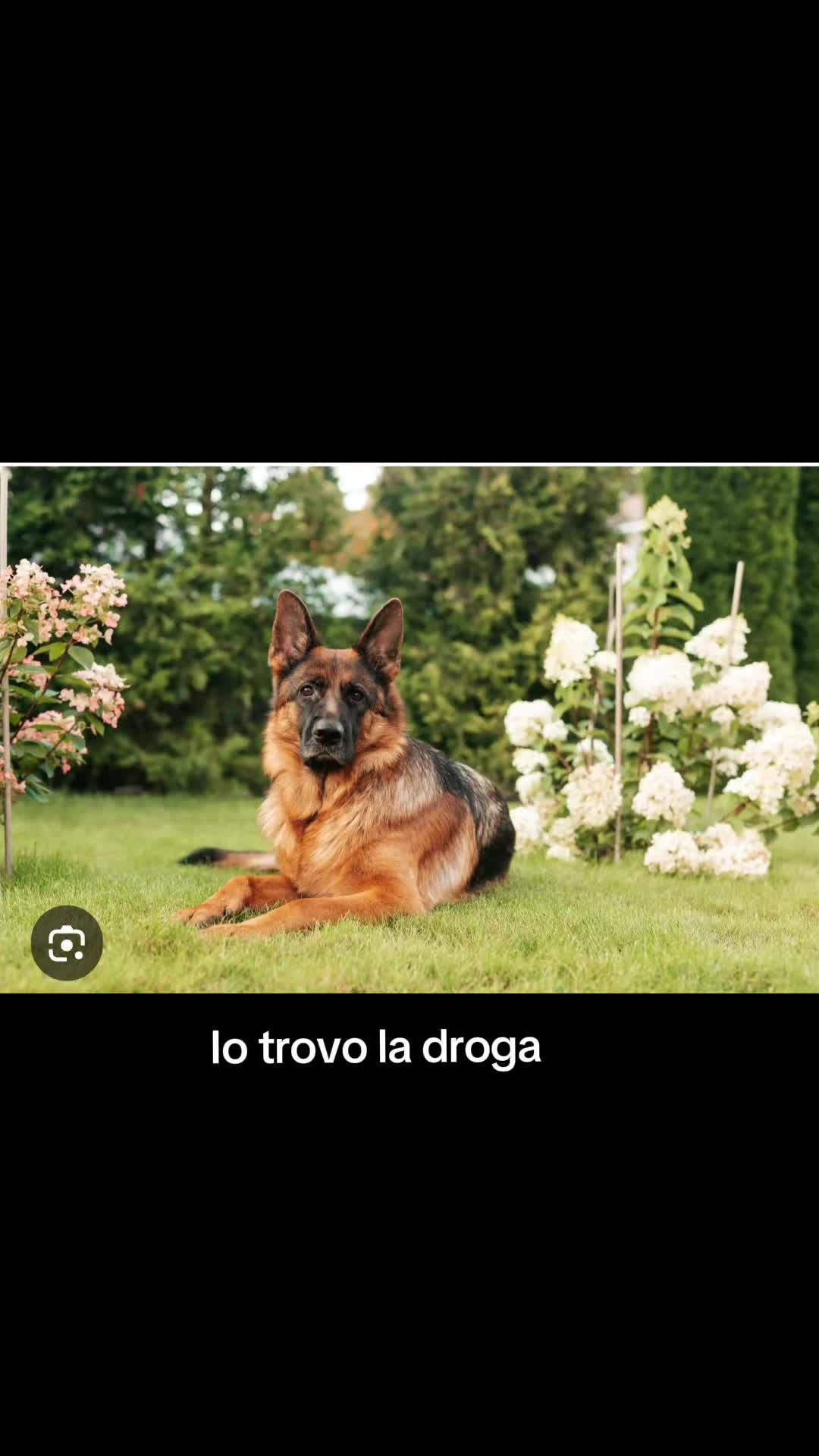 @Katia Rizzi