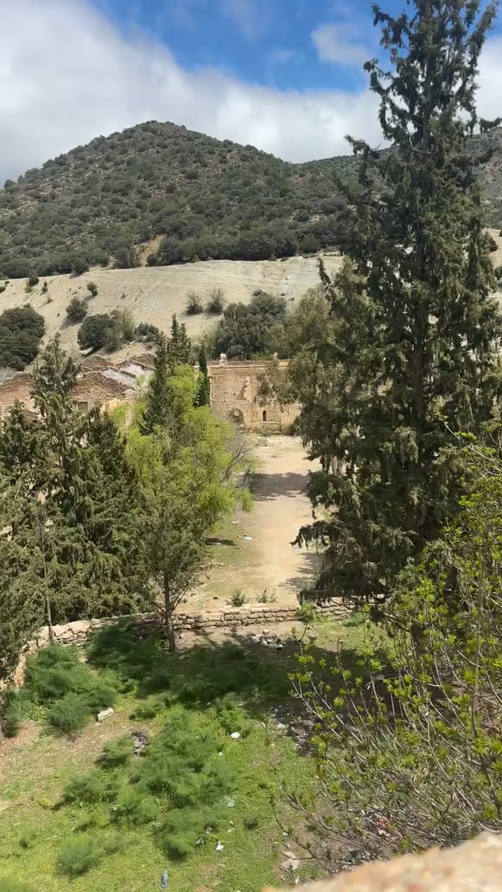 @Chaouia05🇩🇿