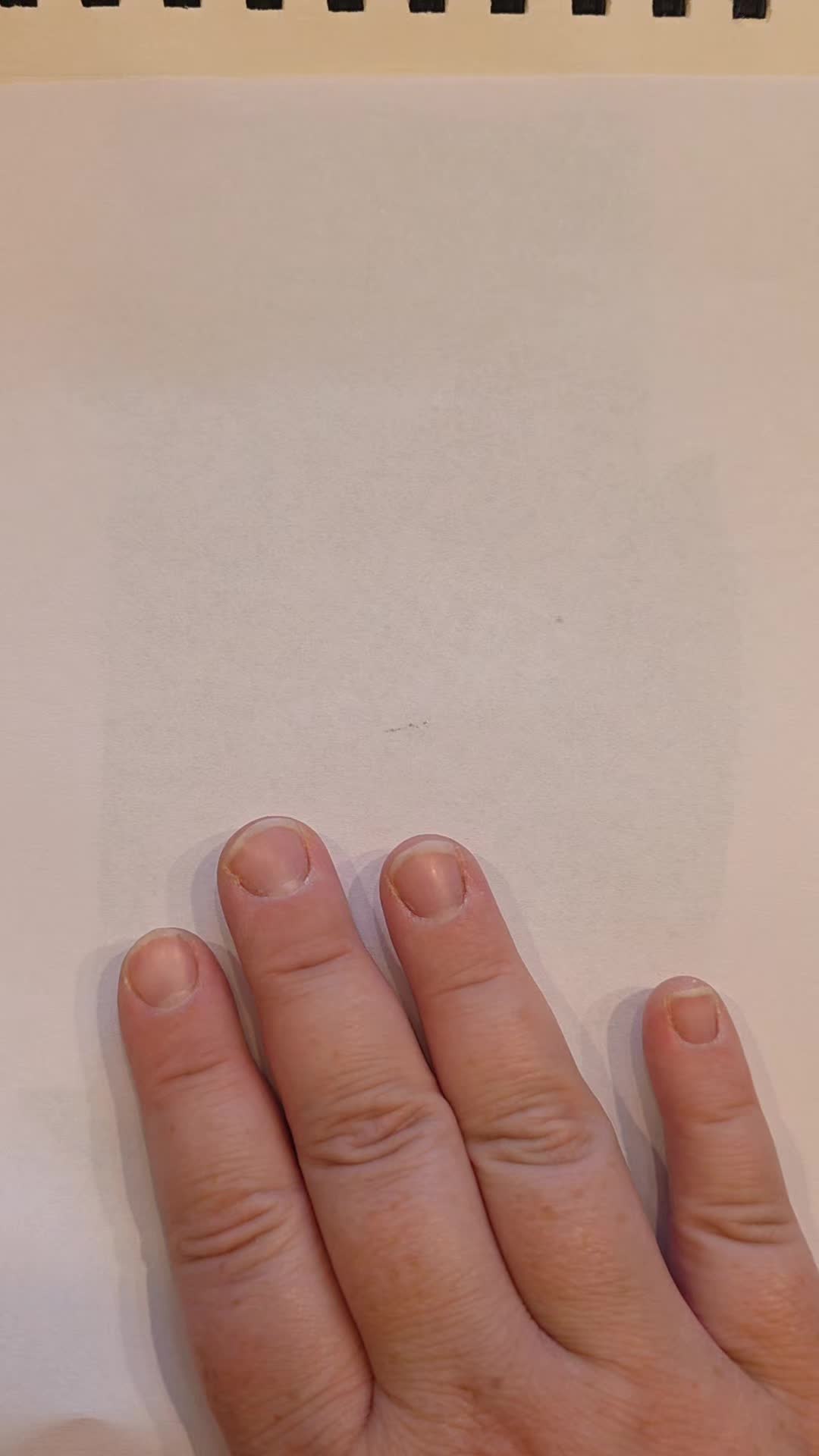 @Katrine E. Aa. Frederiksen