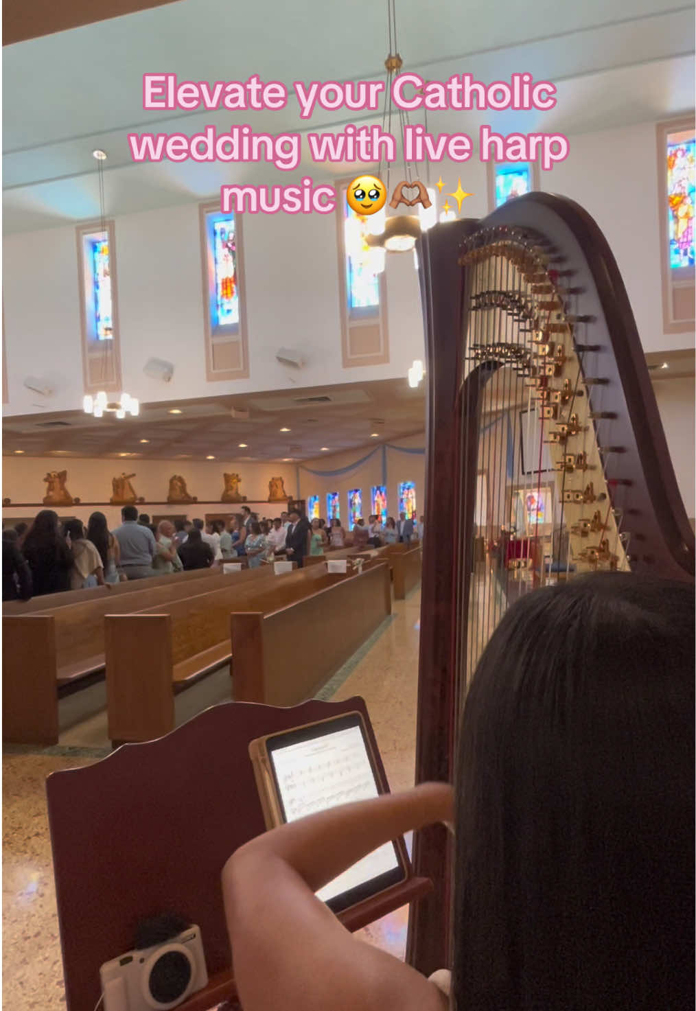 @betaniarodriguezharp